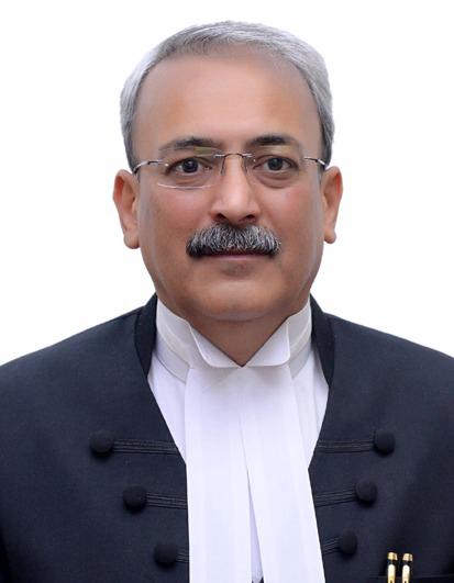 judge